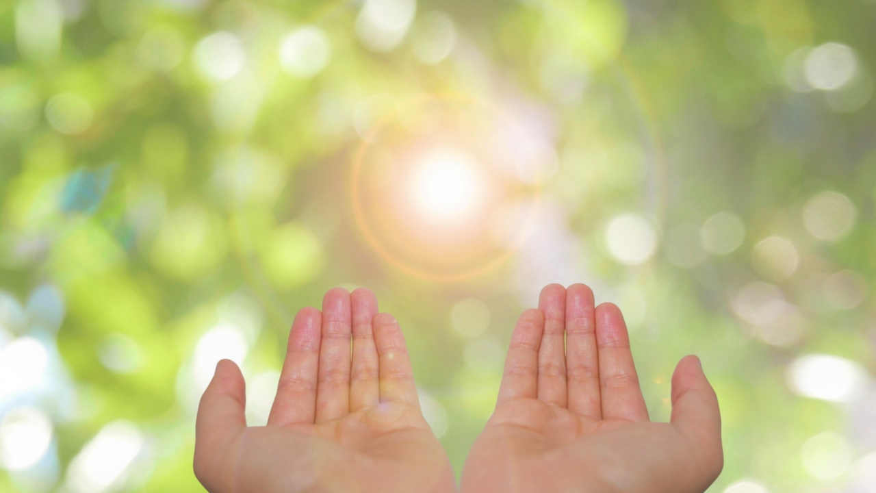 手の平を掲げる